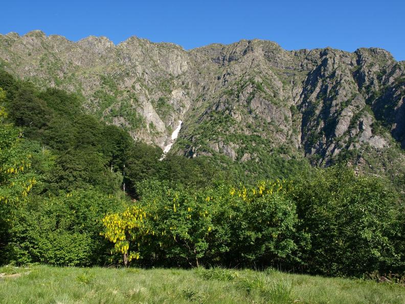 Image 6 - Riserva forestale del Bosco Sacro di Mergugno